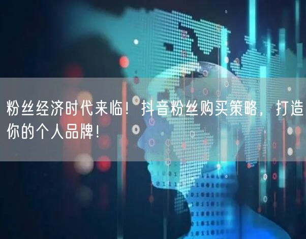 粉丝经济时代来临！抖音粉丝购买策略，打造你的个人品牌！