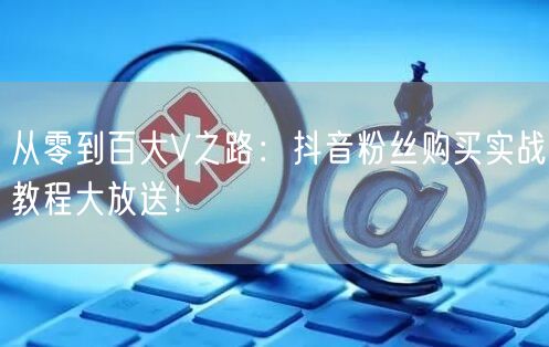 从零到百大V之路：抖音粉丝购买实战教程大放送！