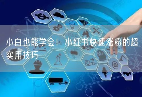 小白也能学会！小红书快速涨粉的超实用技巧