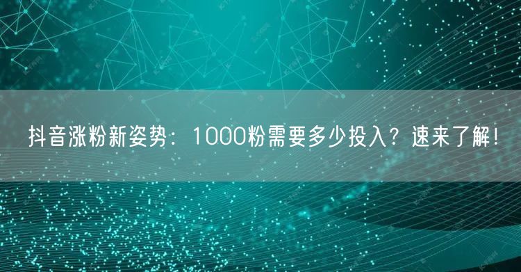 抖音涨粉新姿势：1000粉需要多少投入？速来了解！