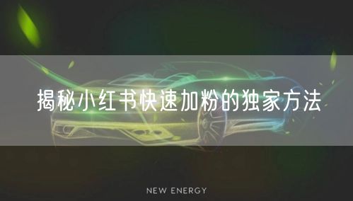 揭秘小红书快速加粉的独家方法