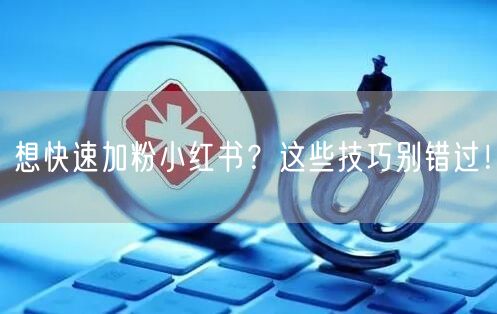 想快速加粉小红书？这些技巧别错过！