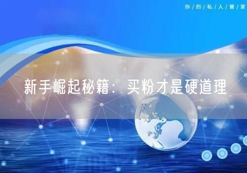 新手崛起秘籍：买粉才是硬道理