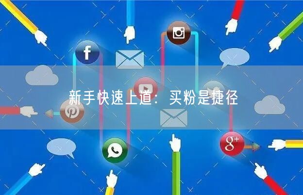 新手快速上道：买粉是捷径