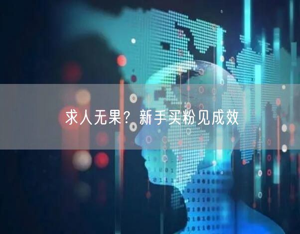 求人无果?新手买粉见成效