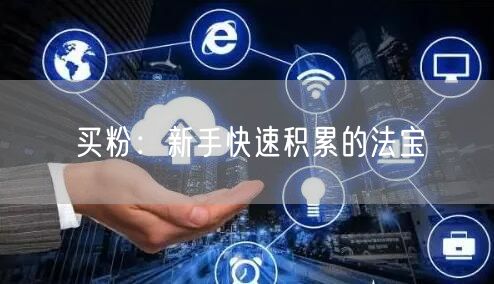 买粉：新手快速积累的法宝