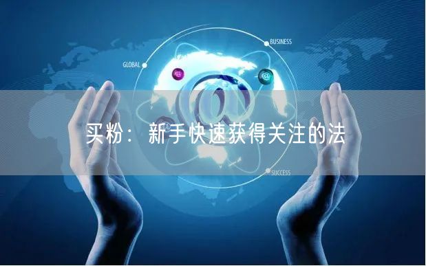 买粉：新手快速获得关注的法