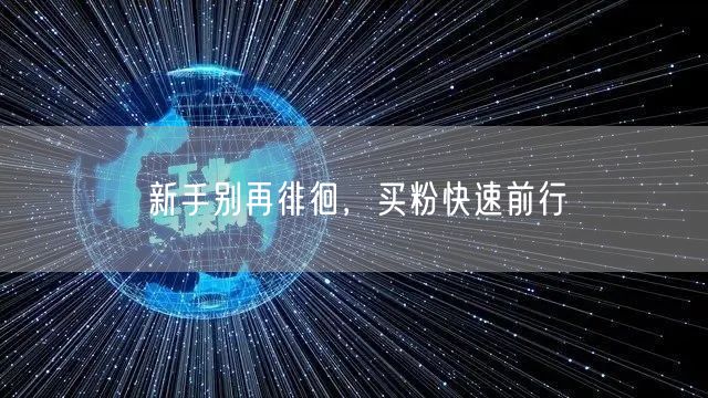 新手别再徘徊，买粉快速前行