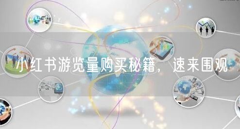 小红书游览量购买秘籍，速来围观