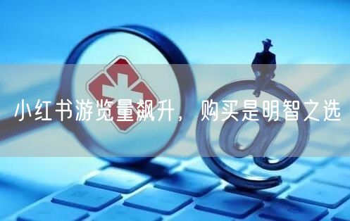 小红书游览量飙升，购买是明智之选