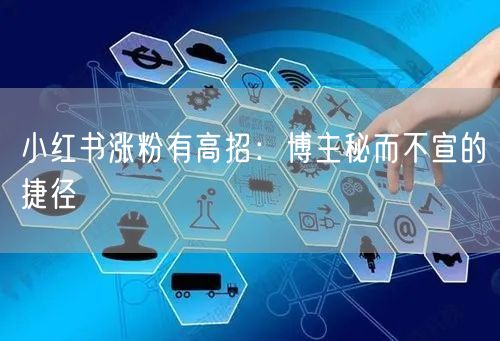 小红书涨粉有高招：博主秘而不宣的捷径