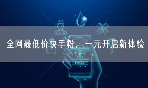 全网最低价快手粉，一元开启新体验
