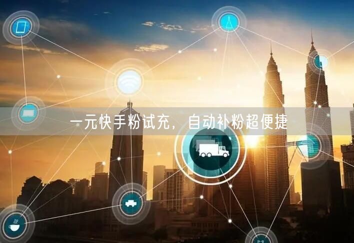 一元快手粉试充，自动补粉超便捷