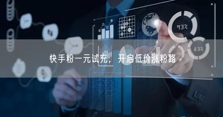 快手粉一元试充，开启低价涨粉路