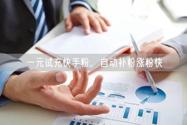 一元试充快手粉，自动补粉涨粉快