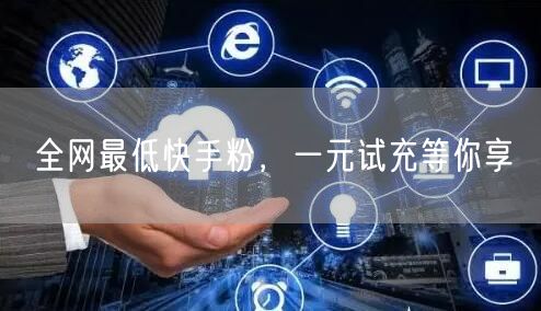 全网最低快手粉，一元试充等你享