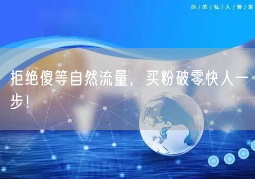 拒绝傻等自然流量，买粉破零快人一步！