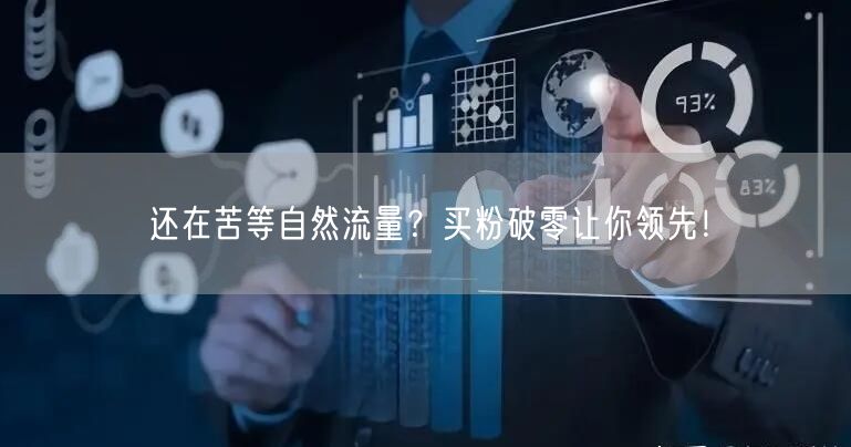 还在苦等自然流量？买粉破零让你领先！