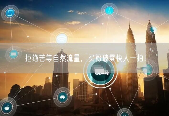 拒绝苦等自然流量，买粉破零快人一拍！