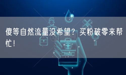 傻等自然流量没希望？买粉破零来帮忙！