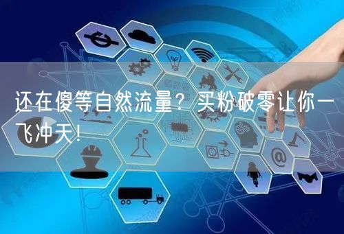 还在傻等自然流量？买粉破零让你一飞冲天！