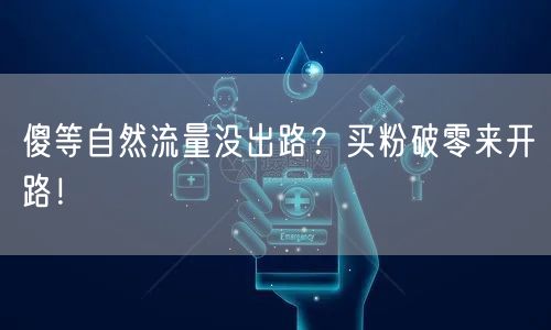 傻等自然流量没出路？买粉破零来开路！