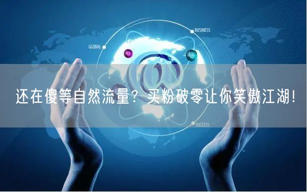 还在傻等自然流量？买粉破零让你笑傲江湖！