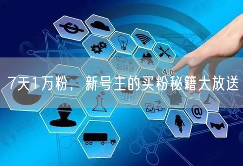 7天1万粉，新号主的买粉秘籍大放送