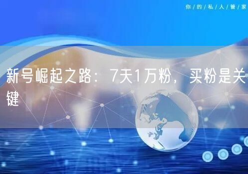新号崛起之路：7天1万粉，买粉是关键