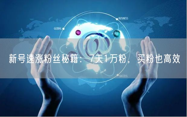 新号速涨粉丝秘籍：7天1万粉，买粉也高效