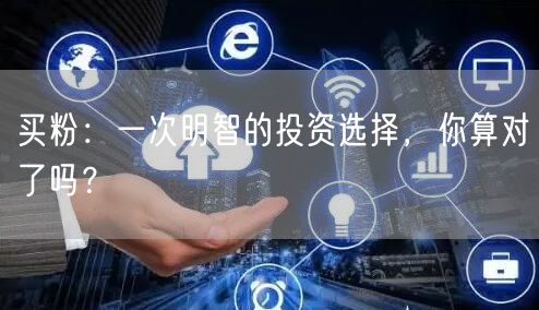买粉：一次明智的投资选择，你算对了吗？