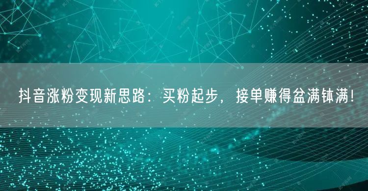 抖音涨粉变现新思路：买粉起步，接单赚得盆满钵满！
