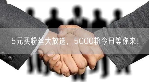 5元买粉丝大放送，5000粉今日等你来！