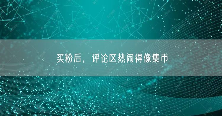 买粉后，评论区热闹得像集市