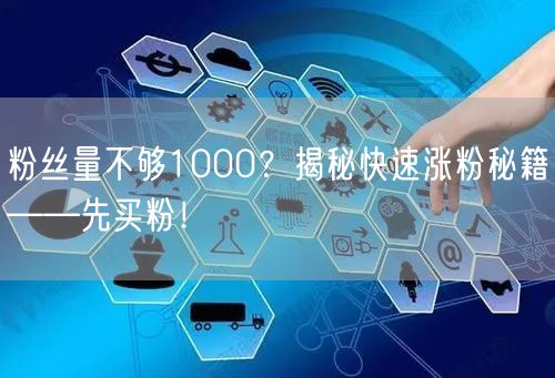 粉丝量不够1000？揭秘快速涨粉秘籍——先买粉！