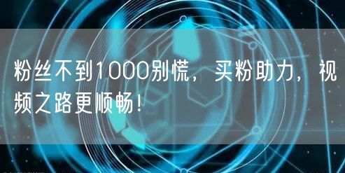 粉丝不到1000别慌，买粉助力，视频之路更顺畅！