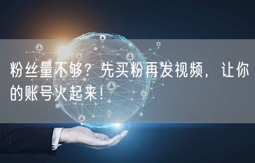 粉丝量不够？先买粉再发视频，让你的账号火起来！