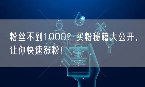 粉丝不到1000？买粉秘籍大公开，让你快速涨粉！