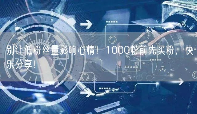 别让低粉丝量影响心情！1000粉前先买粉，快乐分享！