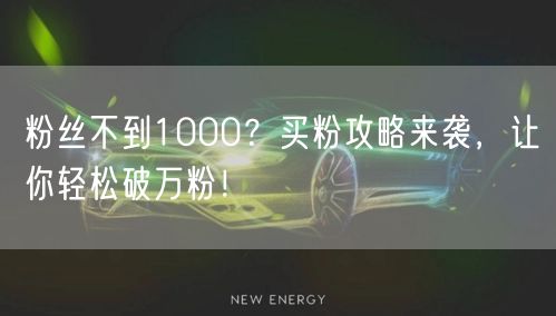 粉丝不到1000？买粉攻略来袭，让你轻松破万粉！
