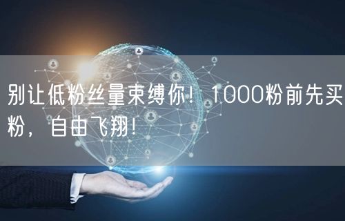 别让低粉丝量束缚你！1000粉前先买粉，自由飞翔！