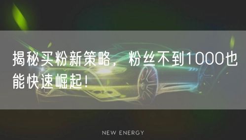 揭秘买粉新策略，粉丝不到1000也能快速崛起！