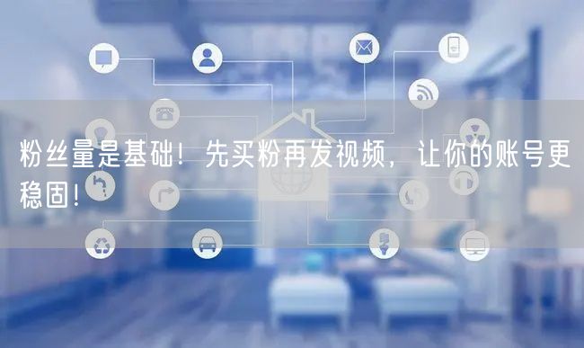 粉丝量是基础！先买粉再发视频，让你的账号更稳固！