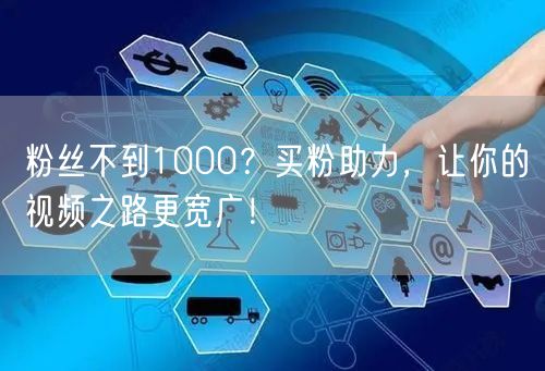 粉丝不到1000？买粉助力，让你的视频之路更宽广！