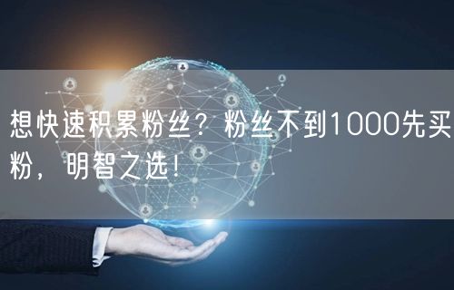想快速积累粉丝？粉丝不到1000先买粉，明智之选！