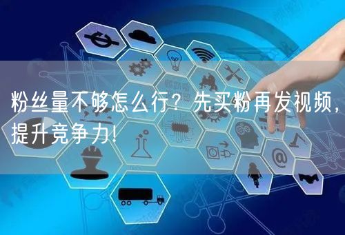 粉丝量不够怎么行？先买粉再发视频，提升竞争力！