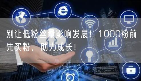 别让低粉丝量影响发展！1000粉前先买粉，助力成长！