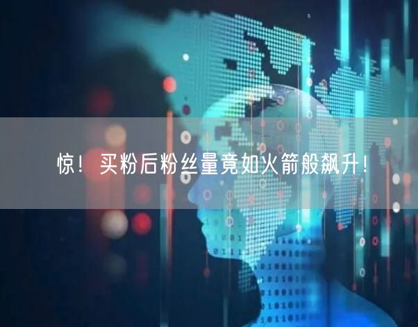 惊！买粉后粉丝量竟如火箭般飙升！