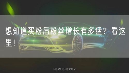 想知道买粉后粉丝增长有多猛？看这里！