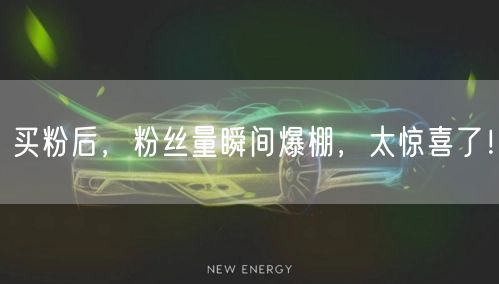买粉后，粉丝量瞬间爆棚，太惊喜了！